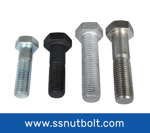 Stainless Steel (SS) Bolts in UAE