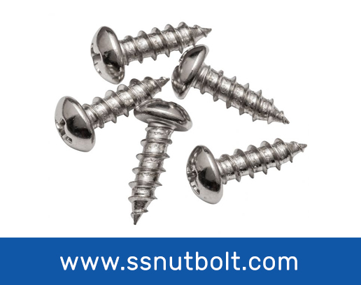 stainless steel (ss) screw in uae